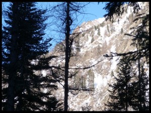 P1020338